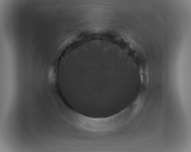 X0000111930039200908101150