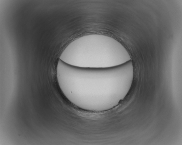 X0000111930040200908101150