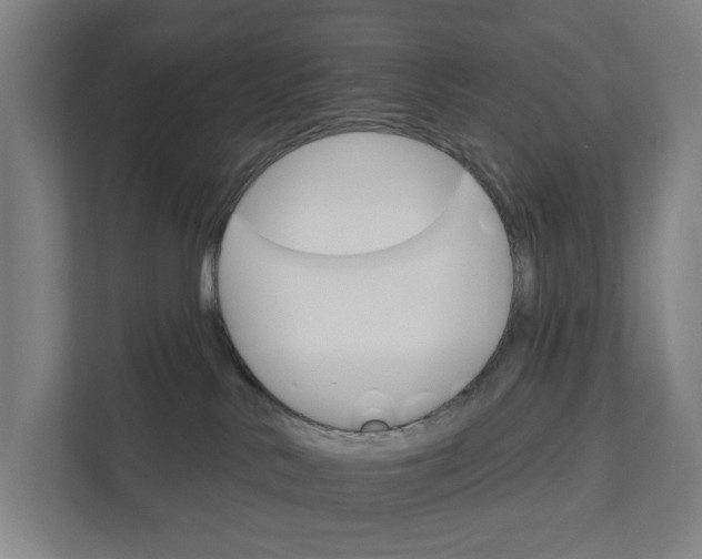 X0000111930042200908101150