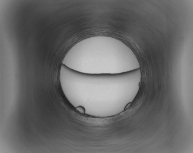 X0000111930044200908101150