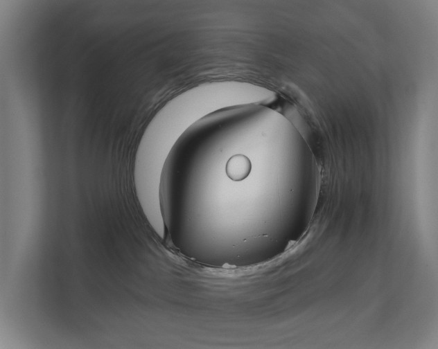 X0000111930045200908101150