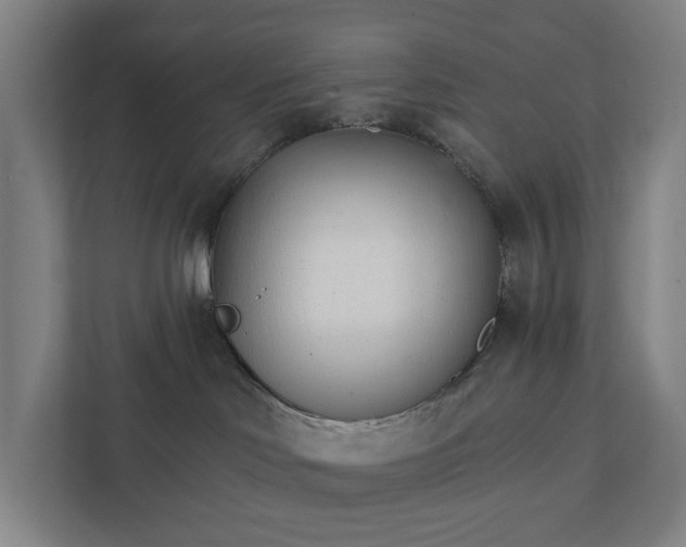 X0000111930046200908101150