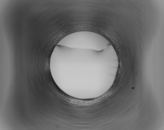 X0000111930048200908101150