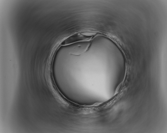 X0000111930049200908101150