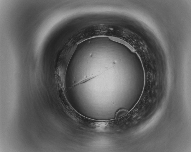 X0000111930050200908101150