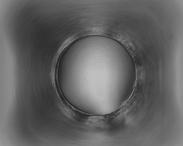 X0000111930051200908101150