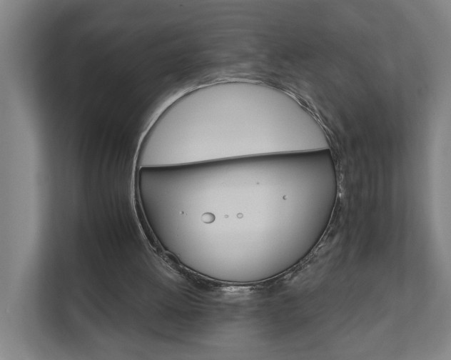 X0000111930052200908101150