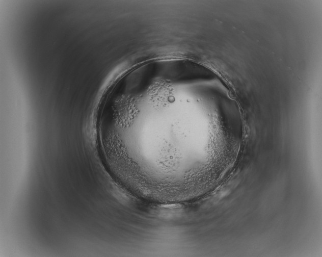 X0000111930053200908101150