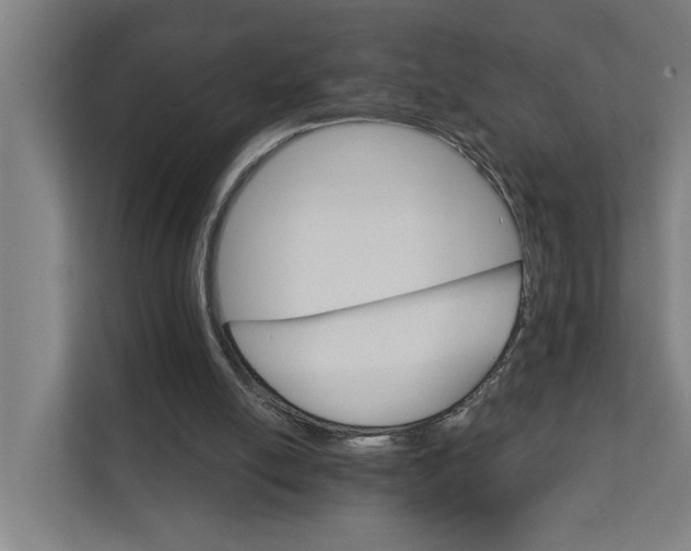 X0000111930054200908101150