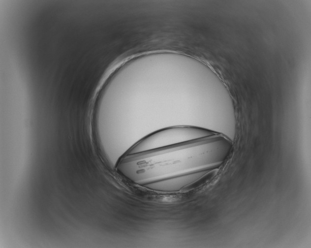 X0000111930056200908101150