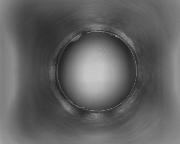 X0000111930057200908101150