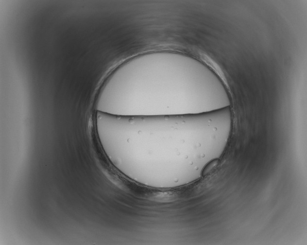 X0000111930059200908101150