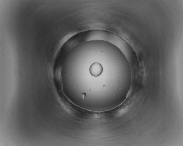 X0000111930060200908101150