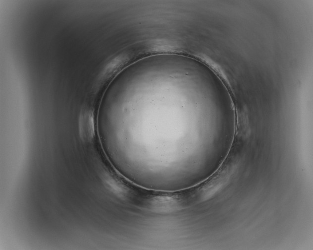 X0000111930061200908101150