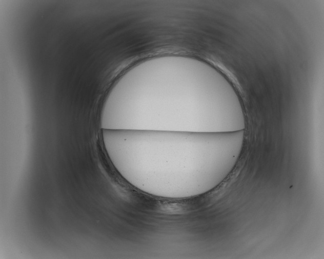 X0000111930062200908101150