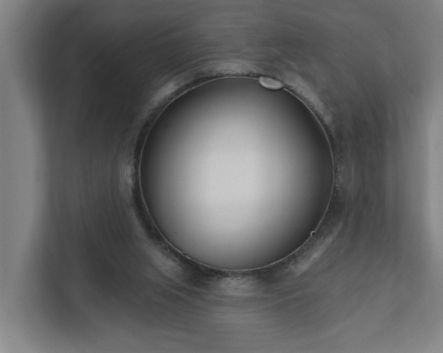 X0000111930063200908101150