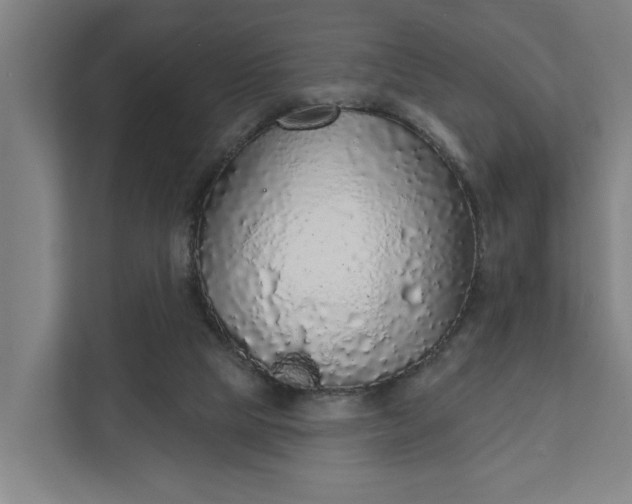 X0000111930065200908101150