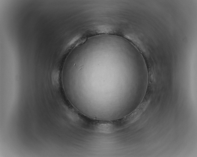 X0000111930066200908101150