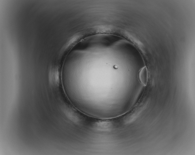 X0000111930067200908101150