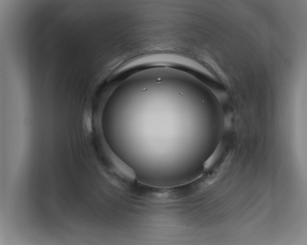 X0000111930068200908101150