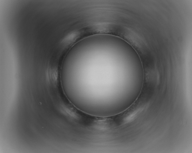 X0000111930072200908101150