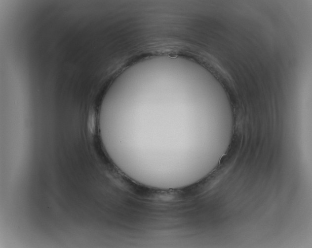 X0000111930076200908101150