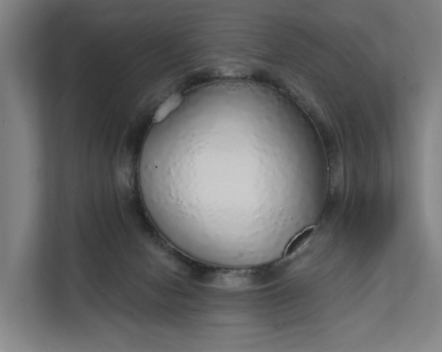 X0000111930078200908101150