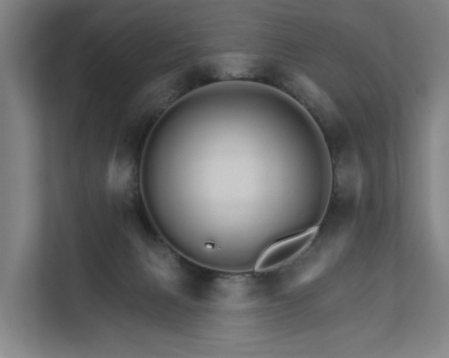 X0000111930079200908101150