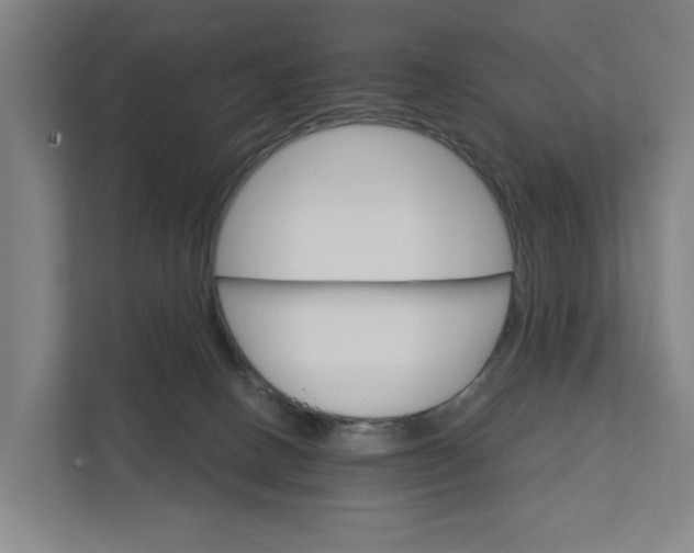 X0000111930082200908101150