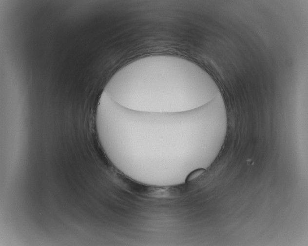 X0000111930083200908101150