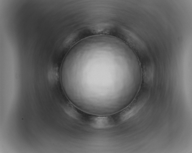 X0000111930085200908101150