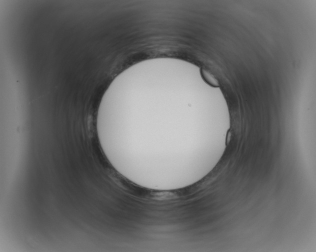 X0000111930087200908101150