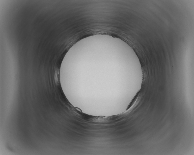 X0000111930094200908101150