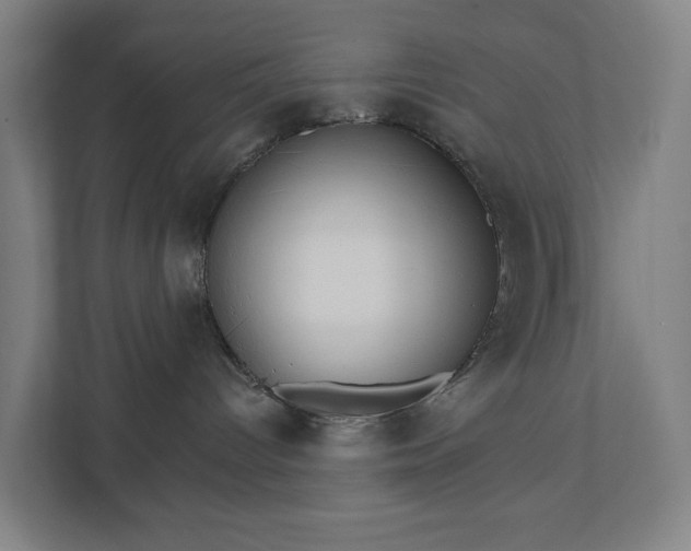 X0000111930096200908101150