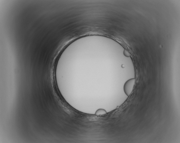 X0000111930098200908101150