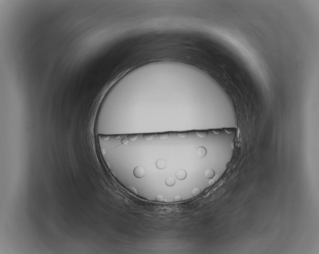 X0000111930099200908101150