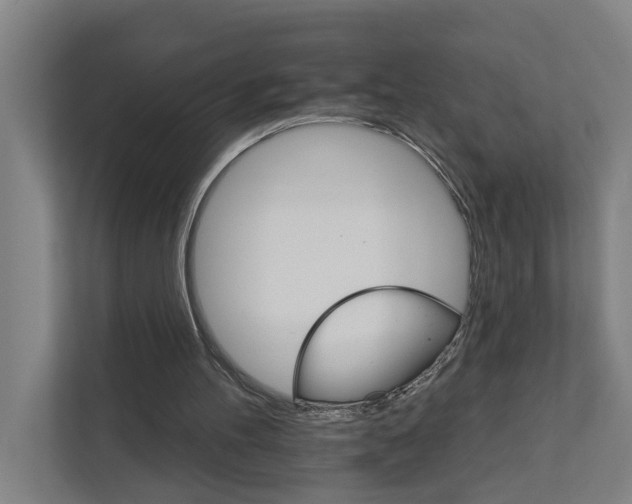 X0000111930100200908101150