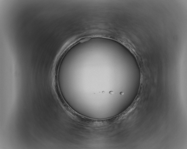 X0000111930101200908101150