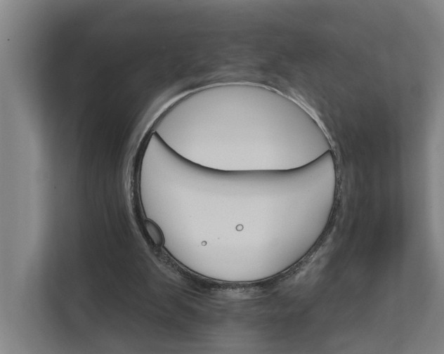 X0000111930103200908101150