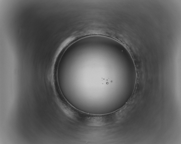 X0000111930104200908101150