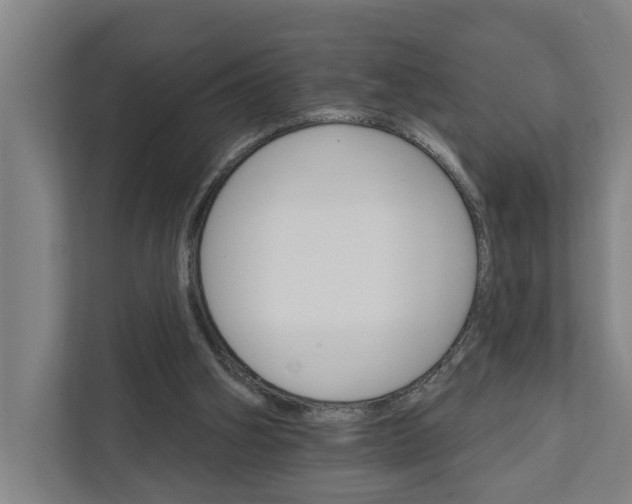 X0000111930106200908101150