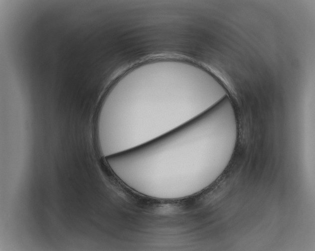 X0000111930111200908101150