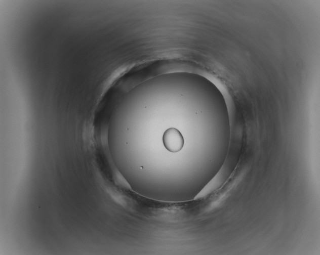 X0000111930112200908101149