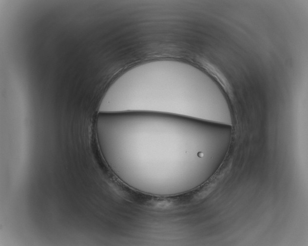 X0000111930113200908101149