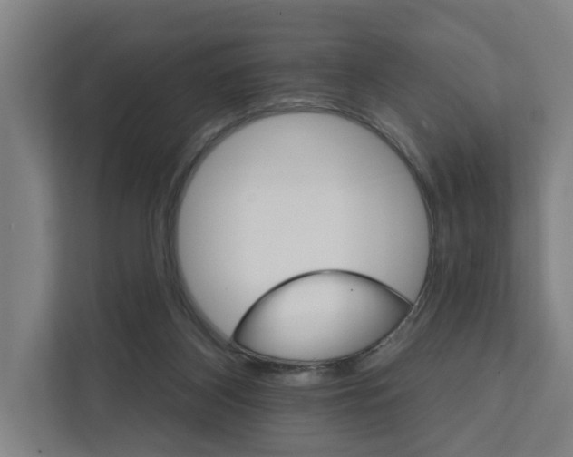 X0000111930116200908101149