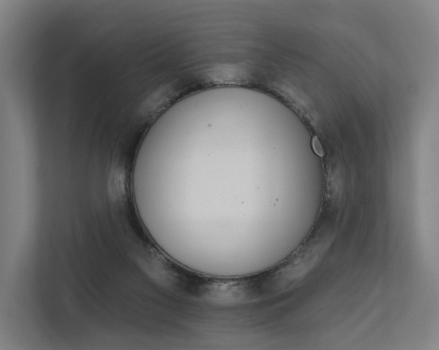 X0000111930117200908101149