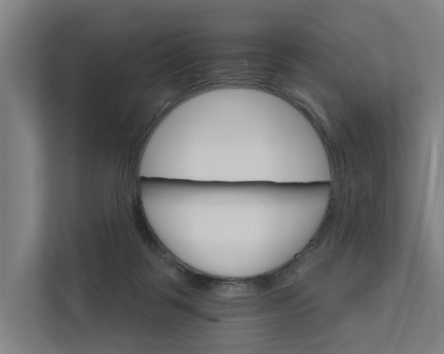 X0000111930123200908101149