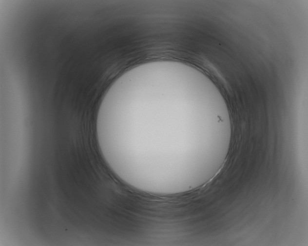 X0000111930124200908101149