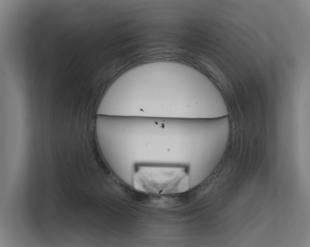 X0000111930125200908101149