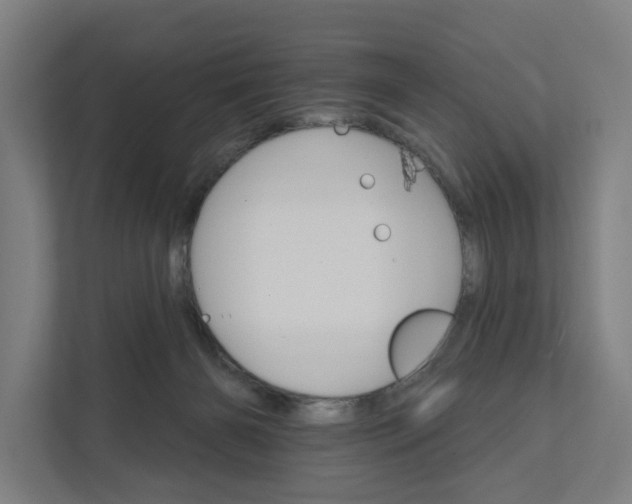 X0000111930126200908101149